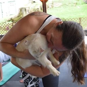 Meet your Posher, Dori